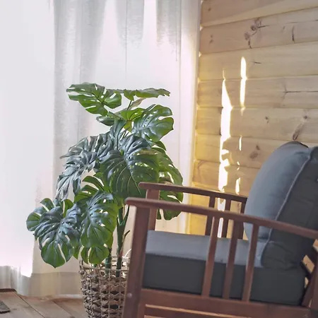 Przytulny Apartament Z Loggia Z Widokiem Na Tatry زاكوباني